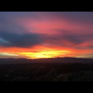 Meet your Posher, Riley